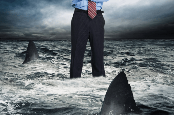 a person standing on a rock in the water with a shark swimming